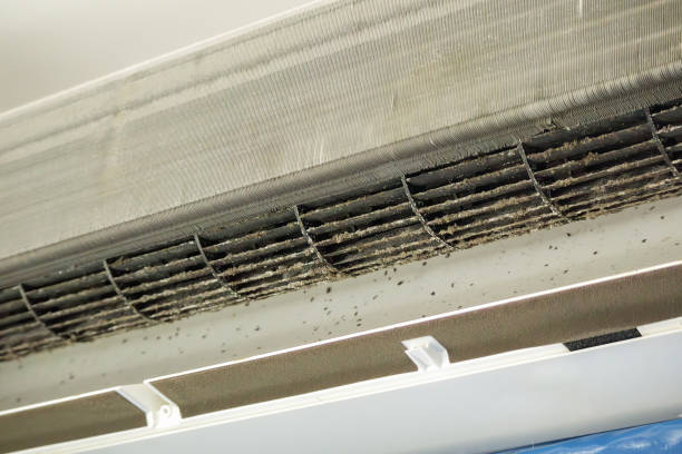 Best Home Air Vent Cleaning  in Fairway, KS